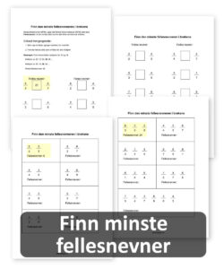 preview-finn-minste-fellesnevner-250x300.jpg